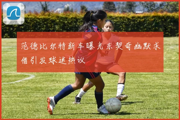 范德比尔特新车曝光东契奇幽默求借引发球迷热议