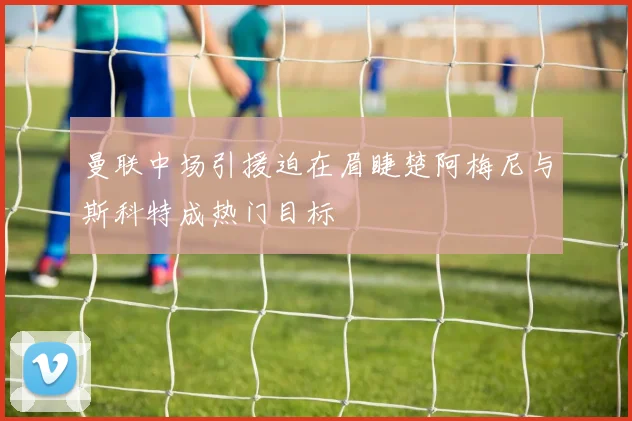 曼联中场引援迫在眉睫楚阿梅尼与斯科特成热门目标